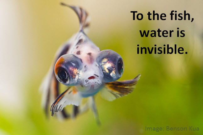 To-the-fish-Invisible-Tech-Image-by-Benson-Kua